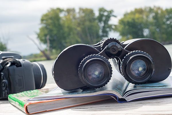 Binoculars and Field Guide