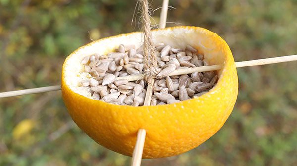 Handmade Bird Feeder