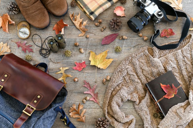 birdwatchers-with-binoculars-and-notebooks-in-nature