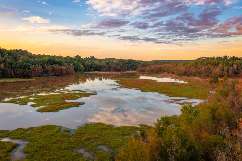 Dyar's Pasture, Madison, Georgia, USA freshwater wetland bird sanctuary