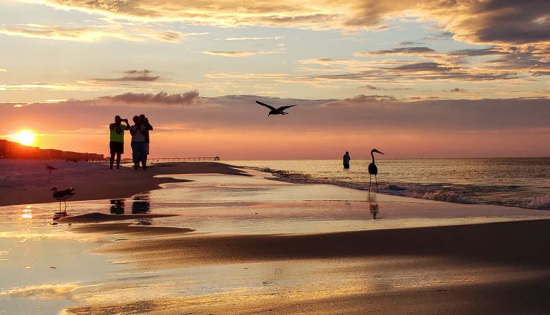birdwatchers-watching-beach-birds-on-the-seashore